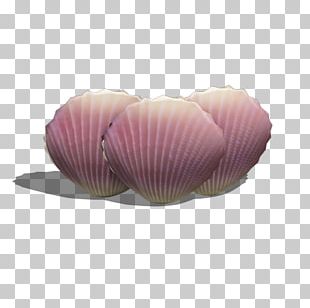 Purple Shell Computer File PNG