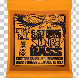 Twelve-string Guitar Double Bass Longscale Bass Guitar PNG