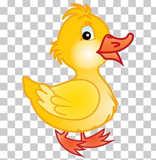 Rubber Duck PNG, Clipart, Rubber Duck Free PNG Download