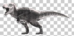 Tyrannosaurus Velociraptor Dinosaur Albinism Indominus Rex Png, Clipart 