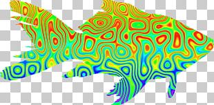 Goldfish Psychedelia PNG