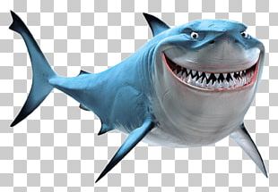 Marlin Bruce Great White Shark PNG, Clipart, Animals, Barry Humphries ...