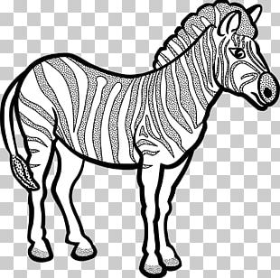 Zebra Line Art PNG
