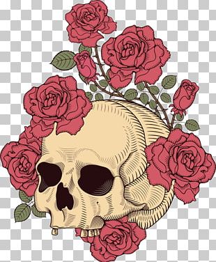 Rose Drawing Skull Art PNG, Clipart, Art, Bone, Cut Flowers, Drawing ...