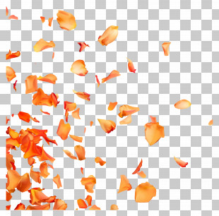 Falling Rose Petals - Falling Orange Flower Petals PNG