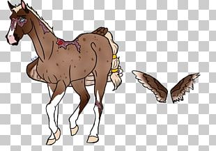 Mule Foal Mustang Stallion Halter PNG
