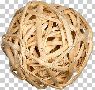 Photography Art PNG