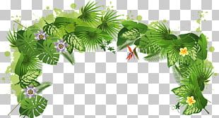 Tropical Rainforest Tropics Plant PNG, Clipart, Banana Leaf, Flower ...