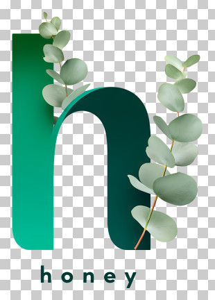 Honey - Green 'h' Honey Logo With Eucalyptus PNG
