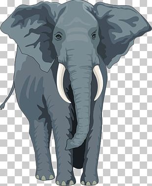 African Elephant Asian Elephant Graphic Design PNG, Clipart, African ...