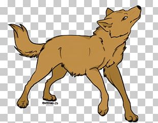 Dog Red Fox PNG, Clipart, Burst Effect, Canidae, Carnivoran, Computer ...