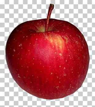 Mcintosh Apple PNG Images, Mcintosh Apple Clipart Free Download