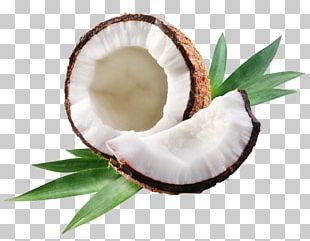 Coconut Water Arecaceae PNG, Clipart, Big Picture, Coconut, Coconut ...
