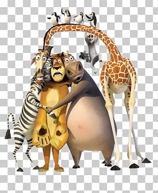 Melman Vector Icons free download in SVG, PNG Format