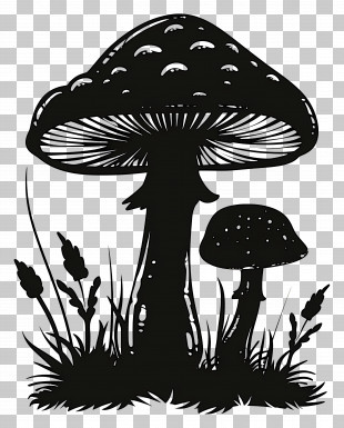 Mushroom Silhouette - Mushroom Silhouette Art PNG