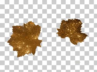 Golden Leaf Png Images Golden Leaf Clipart Free Download