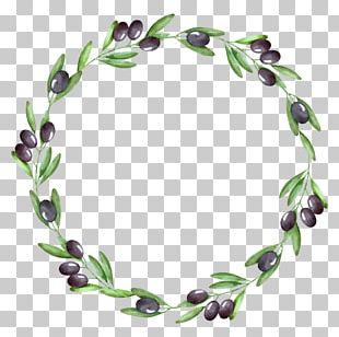 Watercolor Painting Olive Wreath Olive Branch PNG