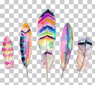 Watercolor Painting Feather Printmaking PNG