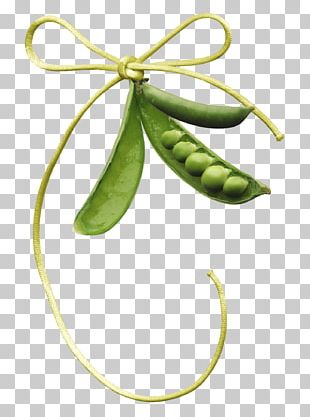 Pea PNG