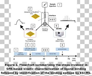 Size-exclusion Chromatography High-performance Liquid Chromatography Molecule Gas Chromatography PNG
