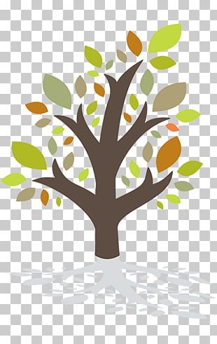 Twig Nassau County Council On Aging The Decision Tree Of Aging Old Age PNG