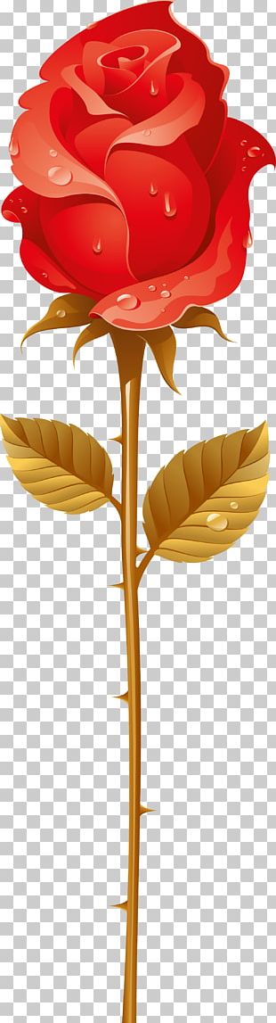Rose Thorns PNG