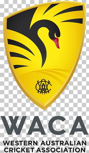 Cricket Shield PNG Transparent Images Free Download | Vector Files | Pngtree