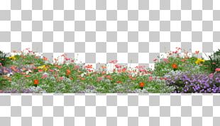 Flower Garden Plant Shrub PNG, Clipart, 3d Computer Graphics ...