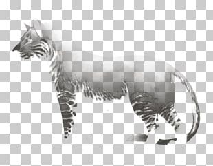 Tiger Big Cat Wildlife Terrestrial Animal Png, Clipart, Animal, Animals 