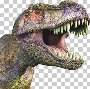 Dinosaur PNG, Clipart, Dinosaur Free PNG Download