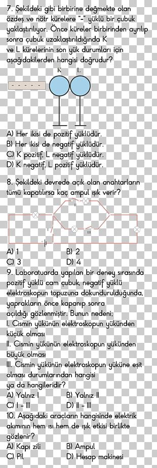 Document Line Angle Organism PNG