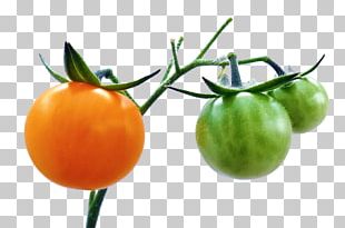 Tomato Juice Piccalilli Vegetable Cherry Tomato PNG