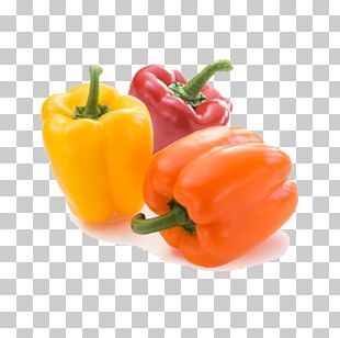 Bell Pepper Chili Pepper Vegetable PNG, Clipart, Bell Peppers And Chili ...