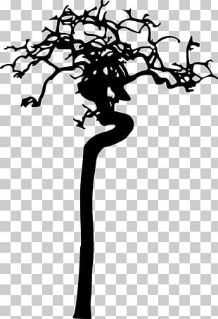 Branch Silhouette Black And White PNG