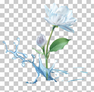 Water - White Flower And Water Splash Artwork PNG
