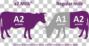 The A2 Milk Company Sahiwal Cattle PNG