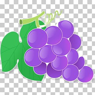 Grape Cartoon PNG Images, Grape Cartoon Clipart Free Download