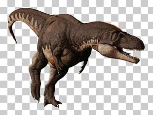 Tyrannosaurus Allosaurus Albertosaurus Reptile Giganotosaurus PNG ...