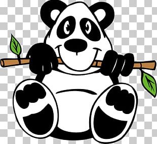 Giant Panda Bear Cartoon Bamboo PNG, Clipart, Animals, Art, Bamboo ...