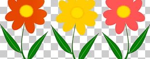 Portable Network Graphics Flower Design PNG, Clipart, Art, Blossom ...