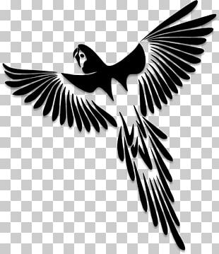 Flying Bird Silhouette Tattoo Png  Passaros Png Transparent Png  vhv