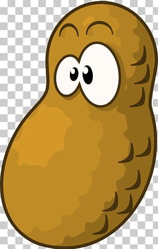 Peanut PNG, Clipart, Peanut Free PNG Download