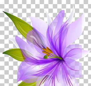 Crocus Flower Purple PNG, Clipart, Clip Art, Color, Crocus, Cut Flowers ...