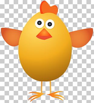 Chicken Cartoon png download - 660*435 - Free Transparent Boiled Egg png  Download. - CleanPNG / KissPNG