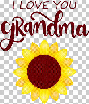 Grandmothers Day Grandma Grandma Day PNG
