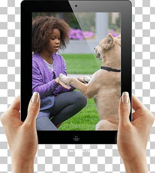 Annie Film Broadway It's The Hard Knock Life Tomorrow PNG
