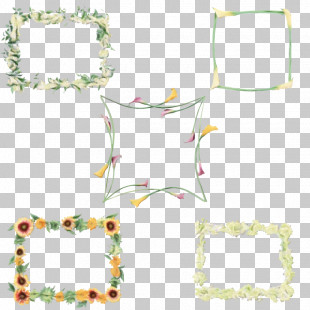 Picture Frame PNG