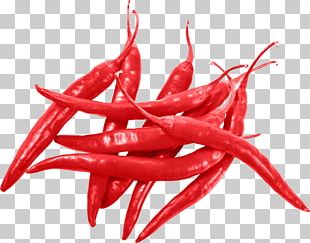 Chili Pepper Cayenne Pepper Tabasco Pepper Spice PNG, Clipart, Bell ...