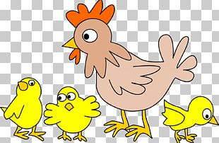 Chicken Meat Business Poultry PNG, Clipart, Animals, Animal Source ...