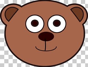Bear Snout Whiskers Nose Carnivora PNG